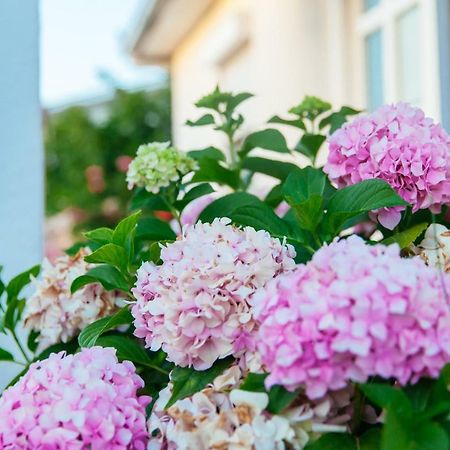 Apartments Paradise Улцин Екстериор снимка
